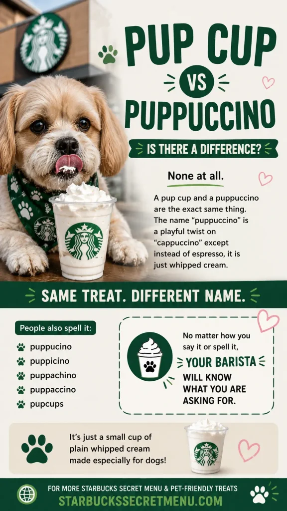 Starbucks Pup Cup Everything You Need to Know (2026 Guide) 3 Pup Cup vs Puppuccino